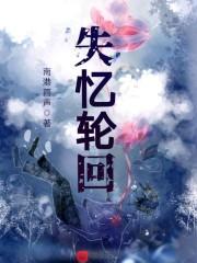 遗失的记忆轮回