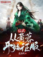 综武从黄蓉开始征服 作者北海冥想