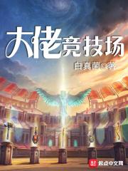 大佬竞技场123
