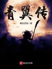 青翼传 表达了什么样的故事情节
