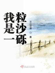 我是一粒沙诗歌视频
