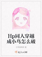 hp穿越原著