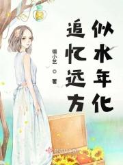 追忆似水年华什么意思