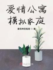 爱情公寓模拟家庭大力张伟分手