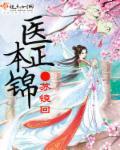 医本正锦讲了个什么