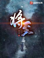 将至已至什么意思