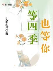 等你的四季