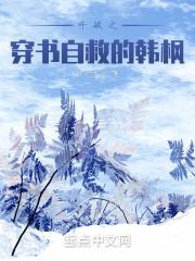 穿越之斗破系统
