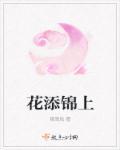 锦上添花打一成语
