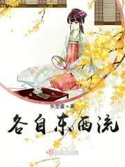 各自东西流是什么意思