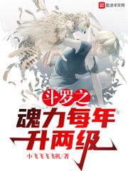 斗罗之魂力每年升两级作
