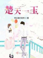 主角楚天