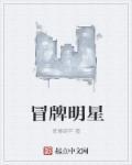 冒牌大明星电视剧