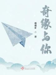 奇缘 电视剧