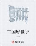 三国世子一秒爆一兵剧情简介