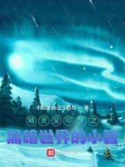精灵宝可梦黑暗文推荐
