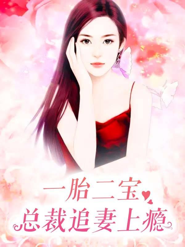 一胎二宝总裁追妻上瘾820章