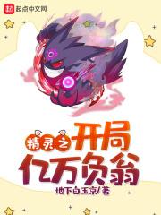 精灵之开局一万个大师球