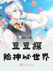 豆豆探险关卡