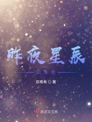 昨夜星辰昨夜风下一句怎么写