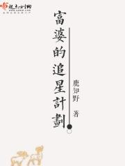 富婆的追星计划免费阅读