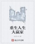 人生大赢家(综)