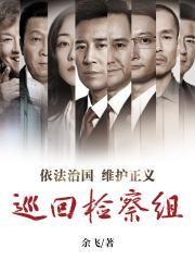 巡回检察组全本