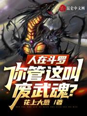 人在斗罗我的武魂黑化了