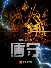 星神圣盾使阵容