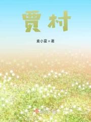 贾村在哪里