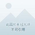 盛宠医妃惹上纨绔世子免费