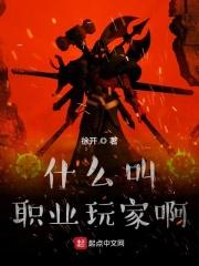 职业玩家全文
