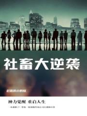 社畜逆袭从小米开始反卷互联笔趣阁