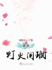 灯火阑珊处的阑珊啥意思