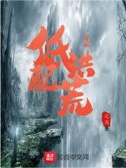从低配版洪荒到至高洪荒有手就行