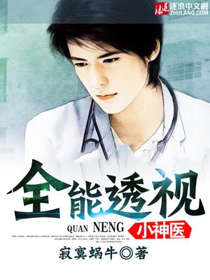 全能透视神医赌石叶青