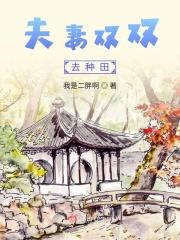 夫妻双穿种田