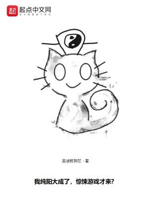 我的纯阳师父