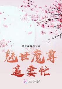 魅尊魅世魔羽