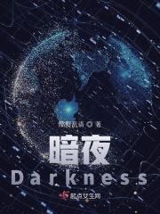 暗夜与黎明 电视剧