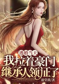 逃婚当天我拉着豪门继承人领证了短剧