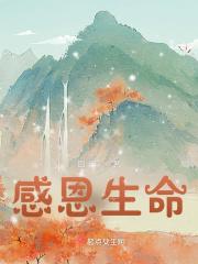 感恩生命中所有遇见