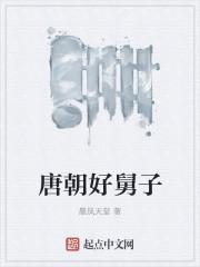 有声唐朝好舅子