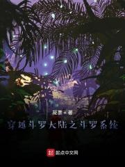 穿越斗罗大陆叶枫的