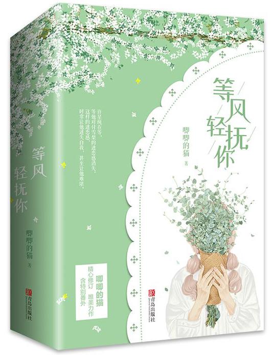 等风轻抚你语录合集