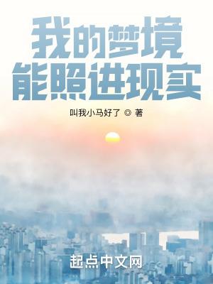 我的梦境能照进现实阅读
