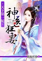 天下第一妃神医狂妻旖旎妖娆 著