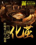 三国之化龙起点