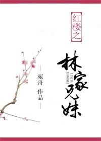 红楼之林家的
