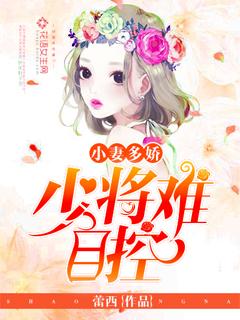 少将的小小妻子